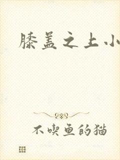 膝盖之上小说