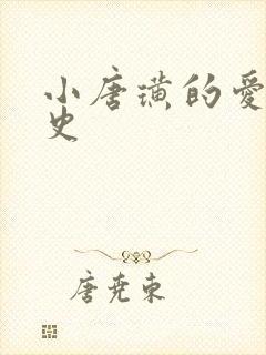 小唐璜的爱情历史
