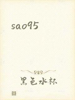 sao95封面