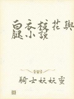 白衣校花与大长腿小说