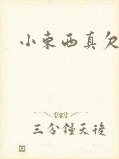 小东西真欠弄