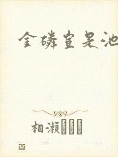 金磷岂是池中物封面