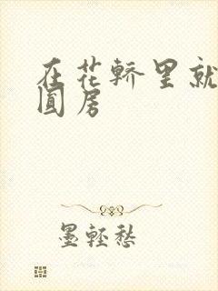 在花轿里就开始圆房封面