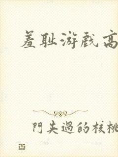 羞耻游戏高h