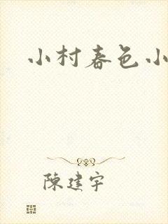 小村春色小说