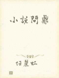 小说问鼎