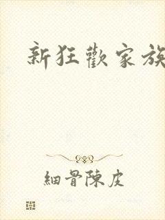 新狂欢家族小说