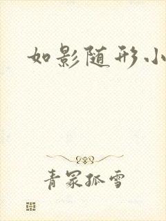如影随形小说