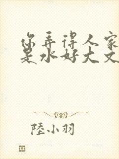 你弄得人家里都是水好大文封面