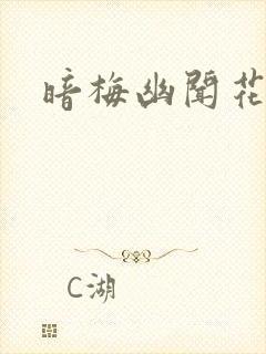 暗梅幽闻花