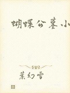 蝴蝶公墓小说