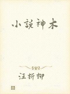 小说神木