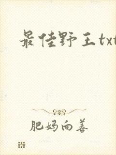 最佳野王txt