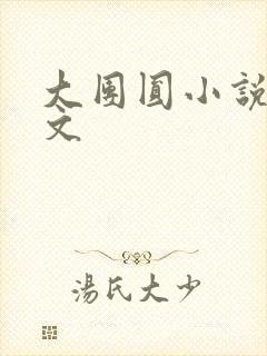 大团圆小说集全文