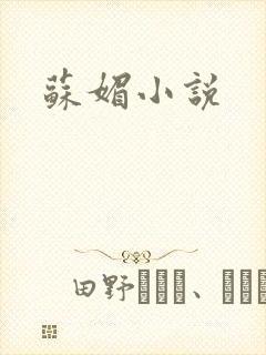 苏媚小说