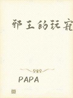 邪王的玩宠