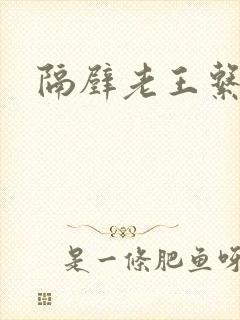 隔壁老王系统