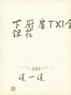 下厨房TXl金银花