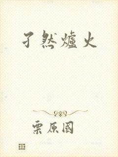 孑然炉火封面
