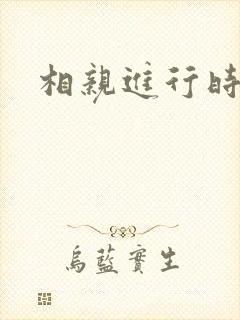 相亲进行时