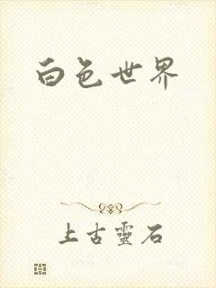 白色世界封面