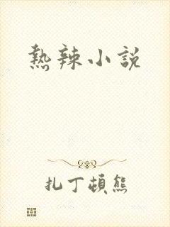 热辣小说封面