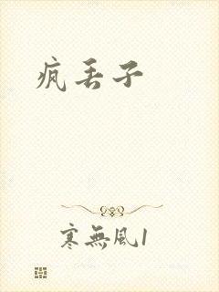 疯丢子封面