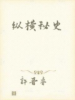 纵横秘史封面