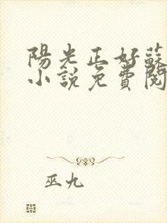 阳光正好苏玥玥小说免费阅读封面