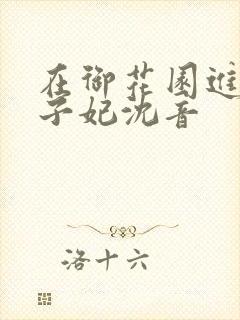 在御花园进入太子妃沈音