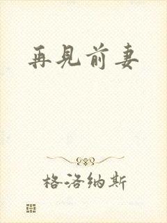再见前妻封面