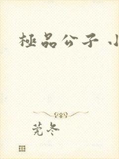 极品公子 小说
