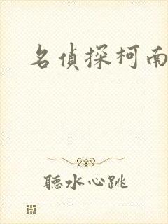 名侦探柯南h