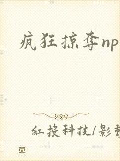 疯狂掠夺npc