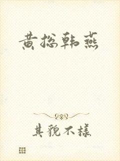 黄总韩燕封面
