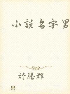 小说名字男生