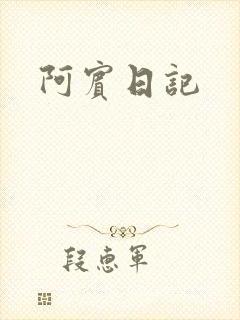 阿宾日记封面