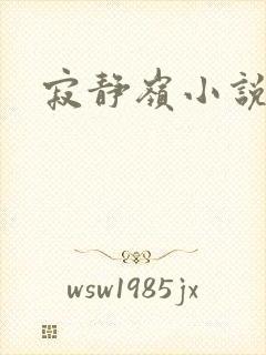 寂静岭小说