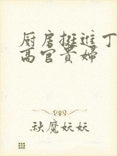 厨房挺进丁字裤高官贵妇