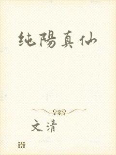 纯阳真仙
