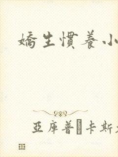 娇生惯养小说封面