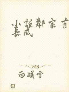 小说邻家有女初长成封面