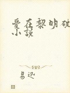 爱在黎明破晓前小说