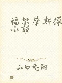 福尔摩斯探案集小说封面