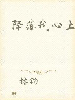 降落我心上