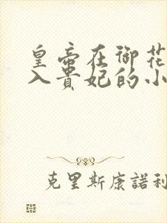 皇帝在御花园进入贵妃的小说