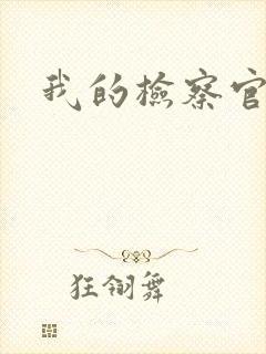 我的检察官先生封面
