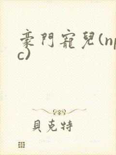 豪门宠儿(npc)