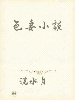 色妻小说封面