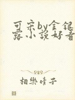 可宋by金银花露小说好看吗